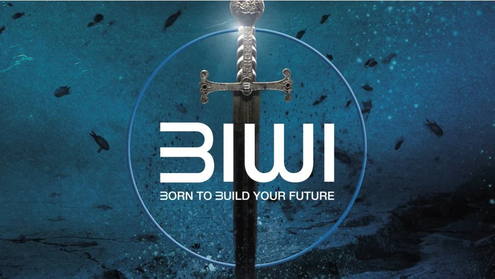 BIWI